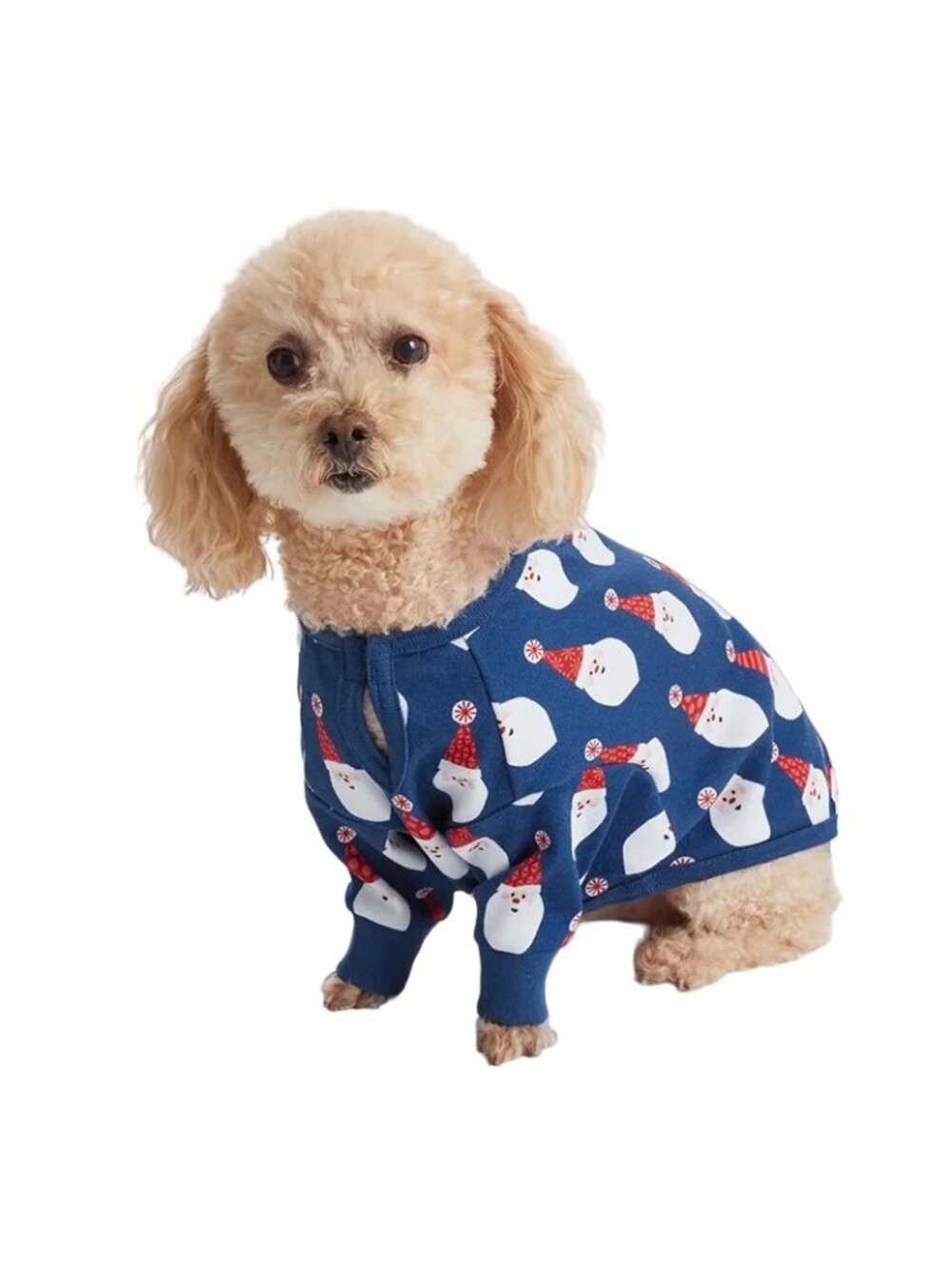 Christmas Santa Dog Pajamas Soft Holiday Matching Pet Outfit